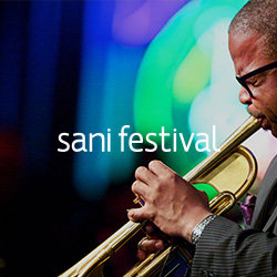 Sani Festival Website Thumbnail
